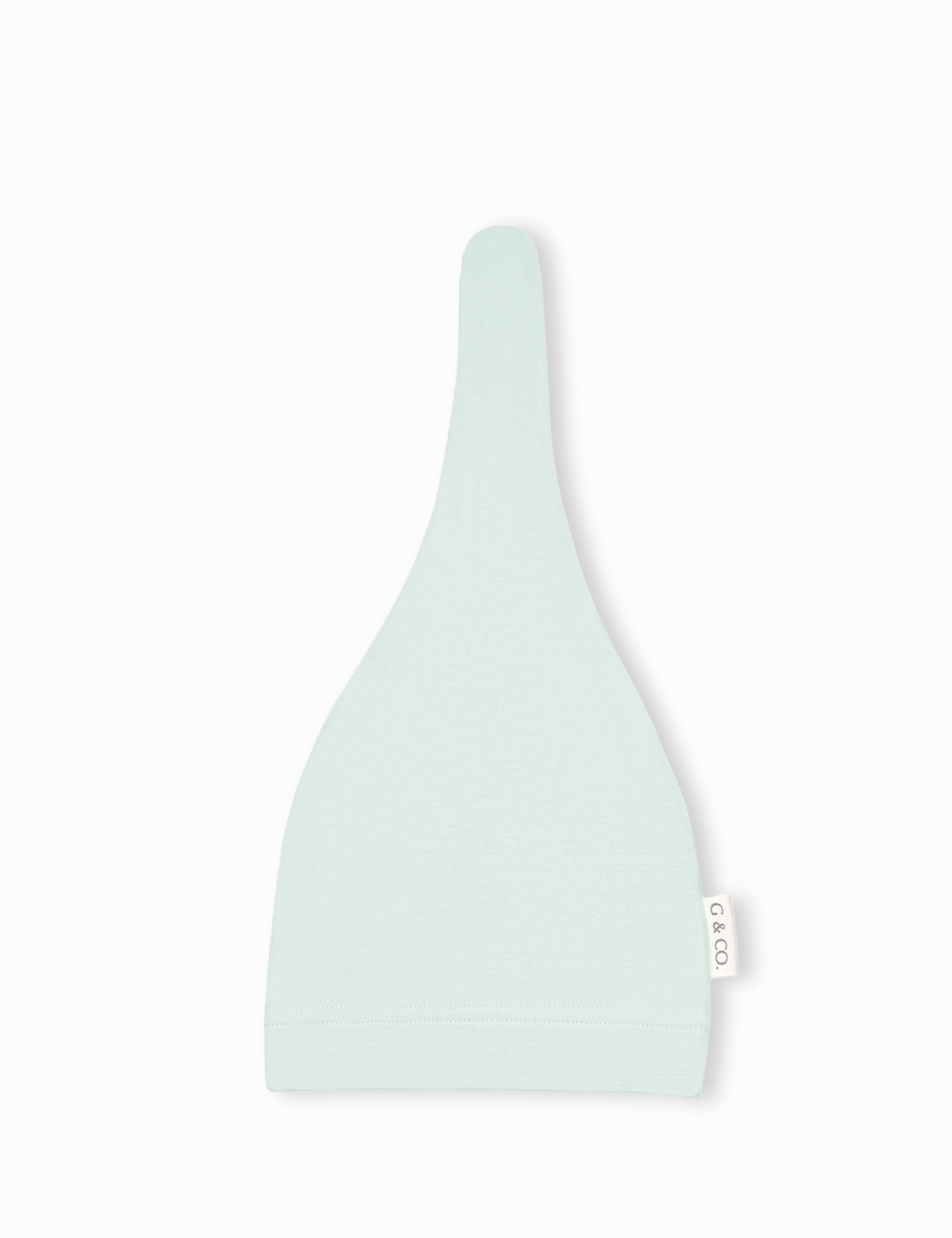 The Canvas Mint Beanie