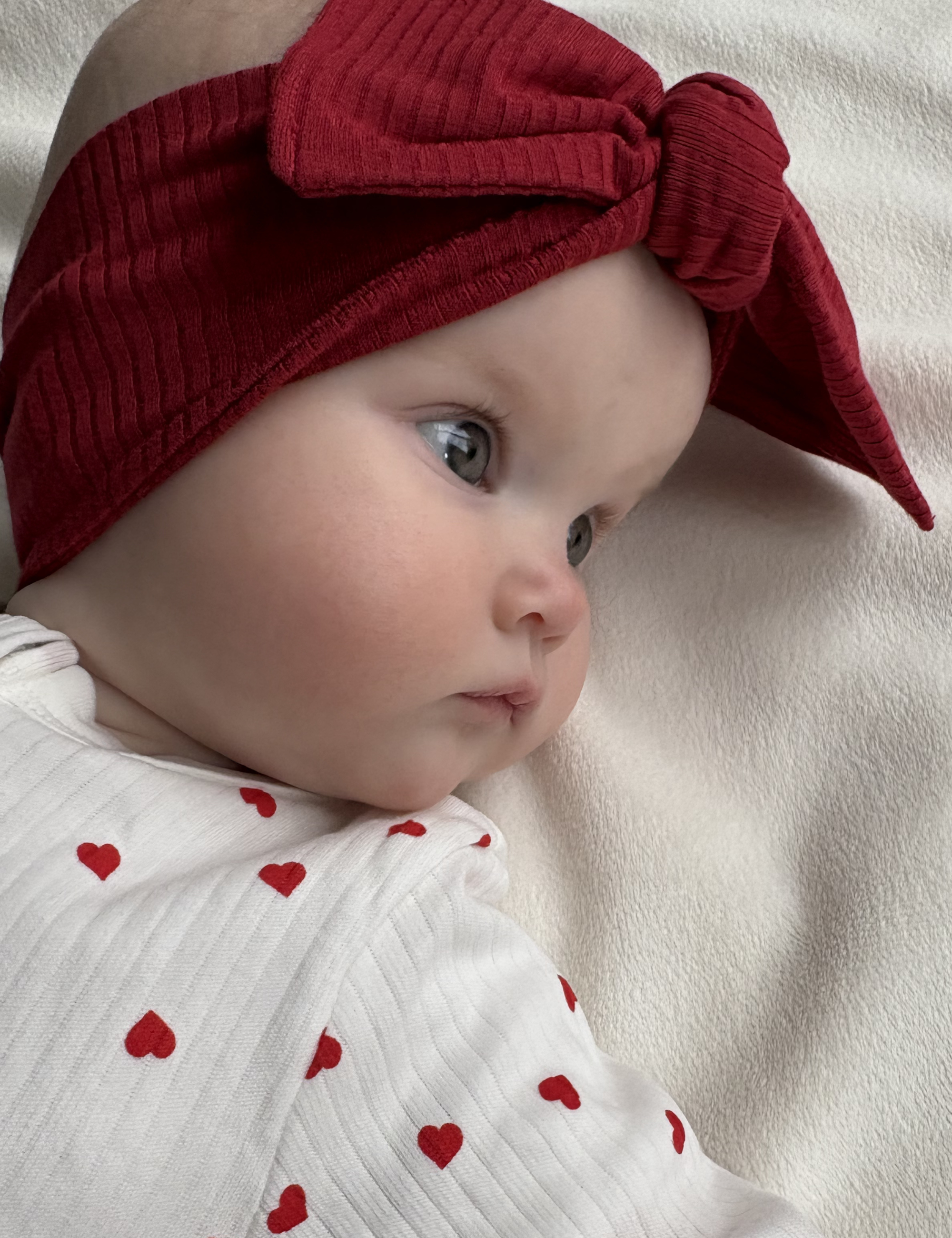 The Ruby Rib Bow