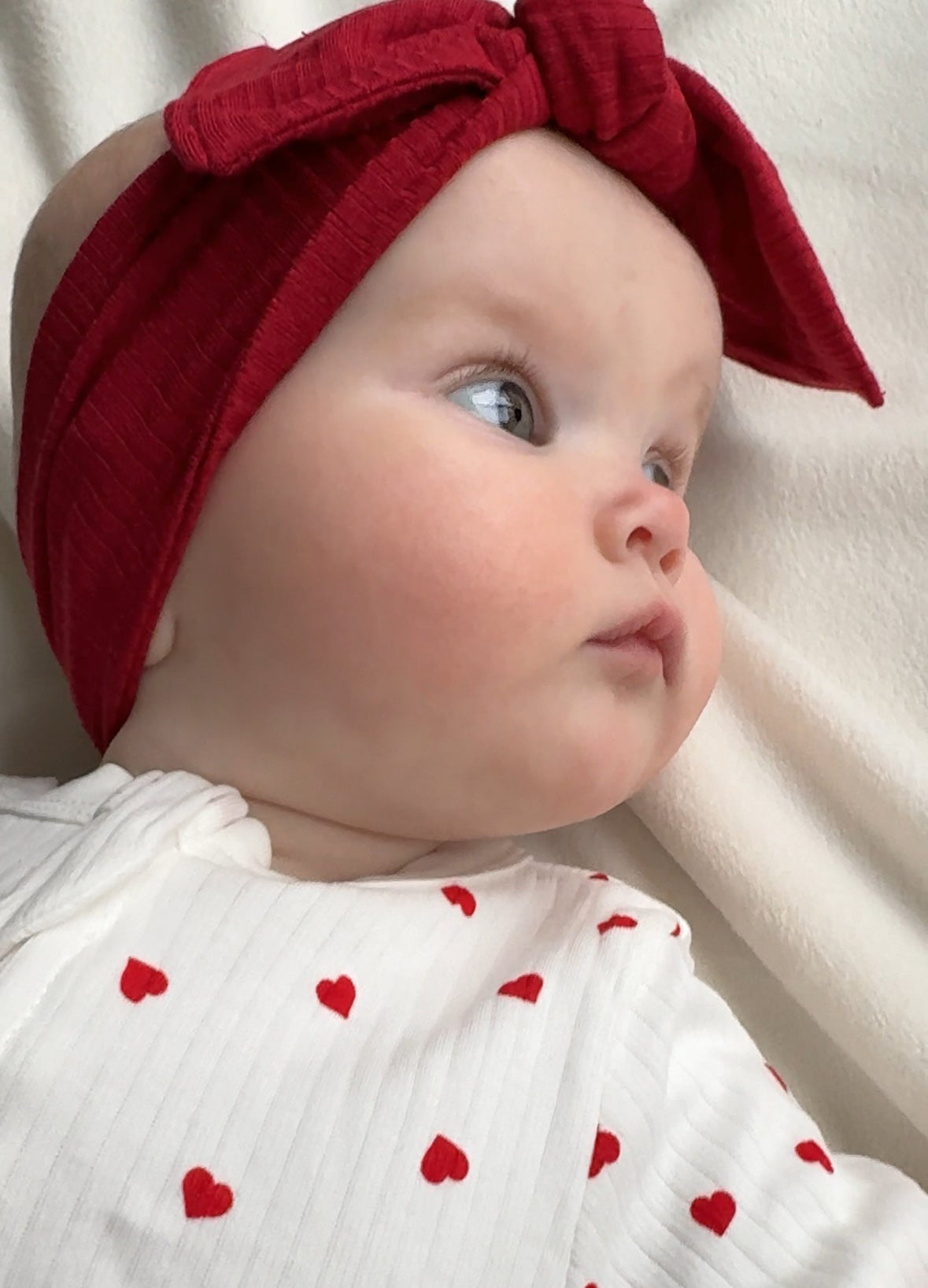 The Ruby Rib Bow