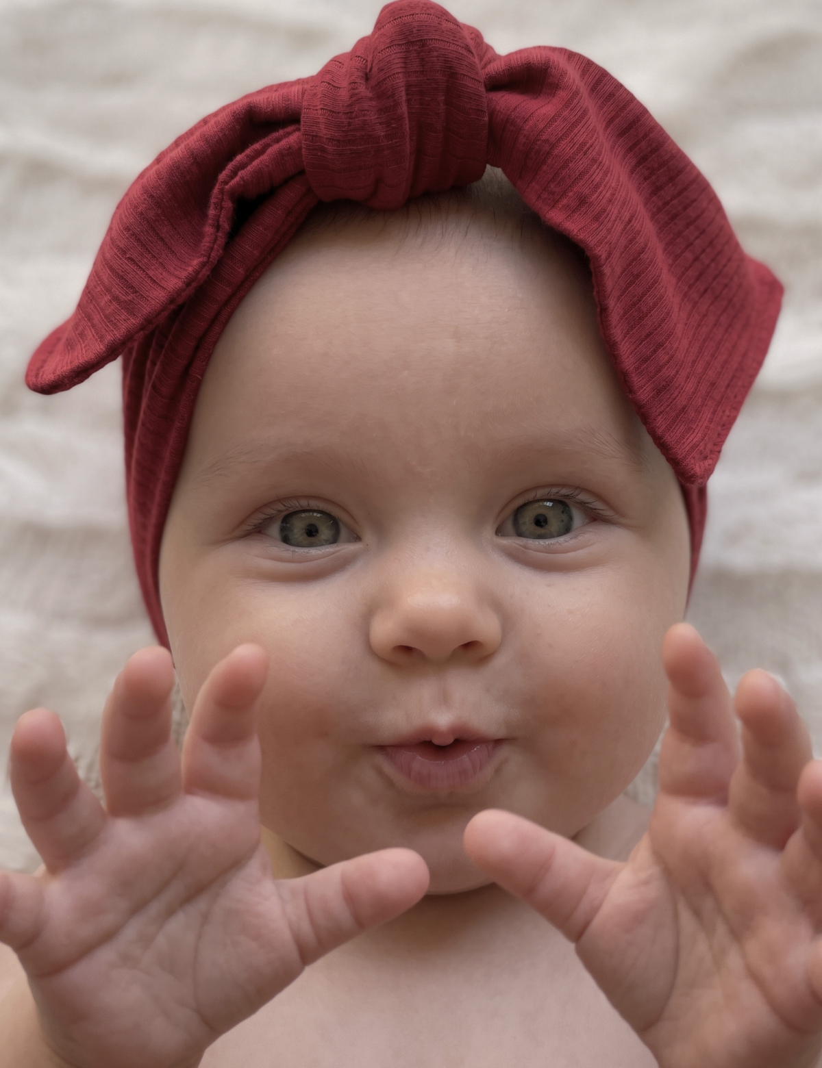 The Ruby Rib Bow