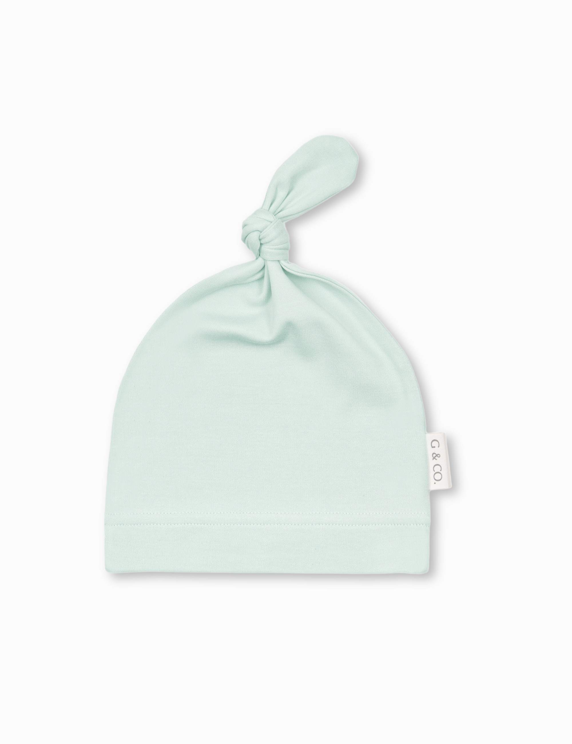 The Canvas Mint Beanie