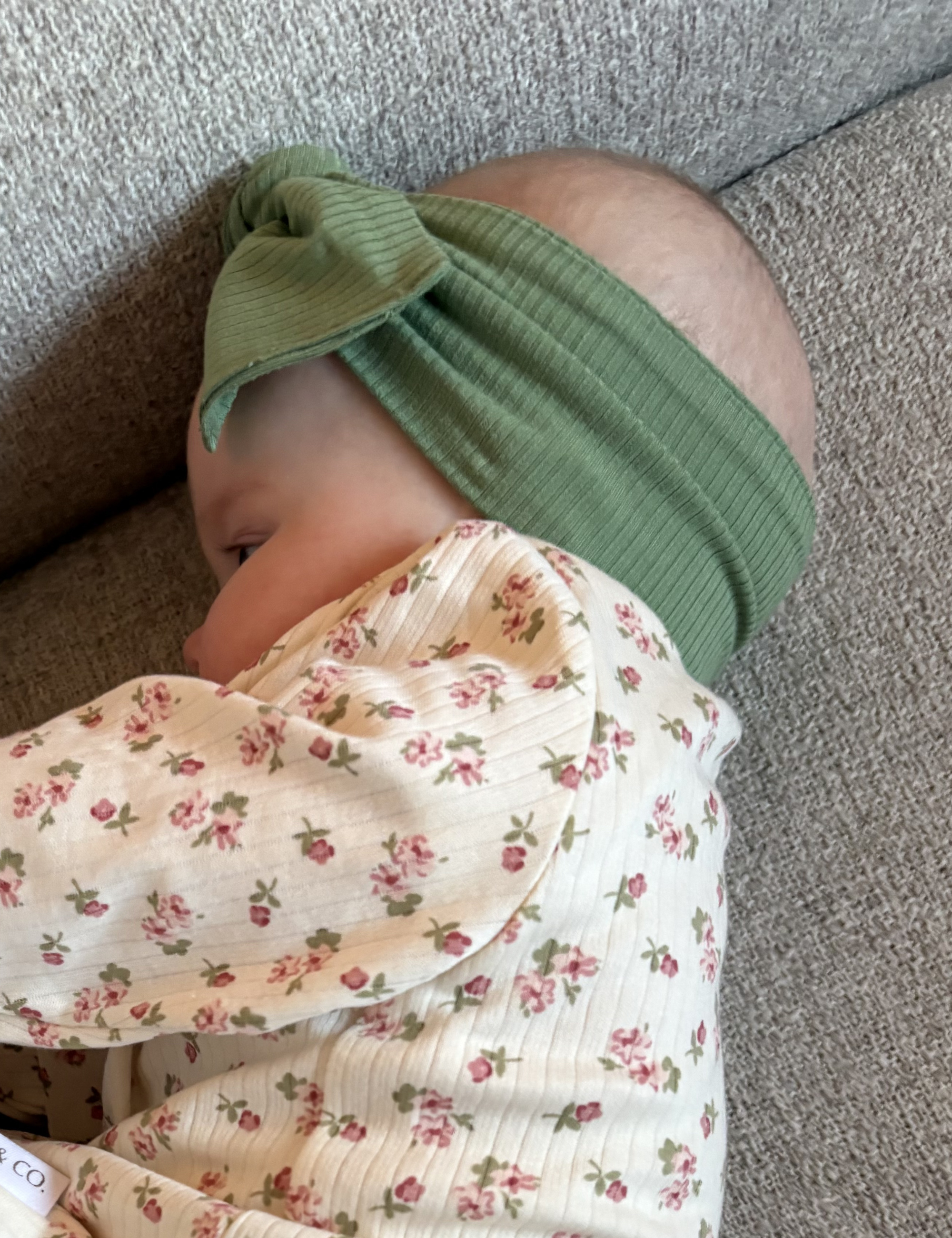 Sage Rib Bow